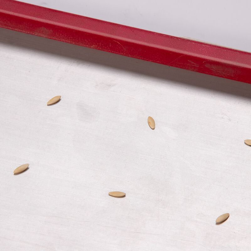 Seed Plate E288 Seed Starting Supplies