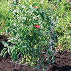 Tomato Cages &ndash; 40" Cages & Fences