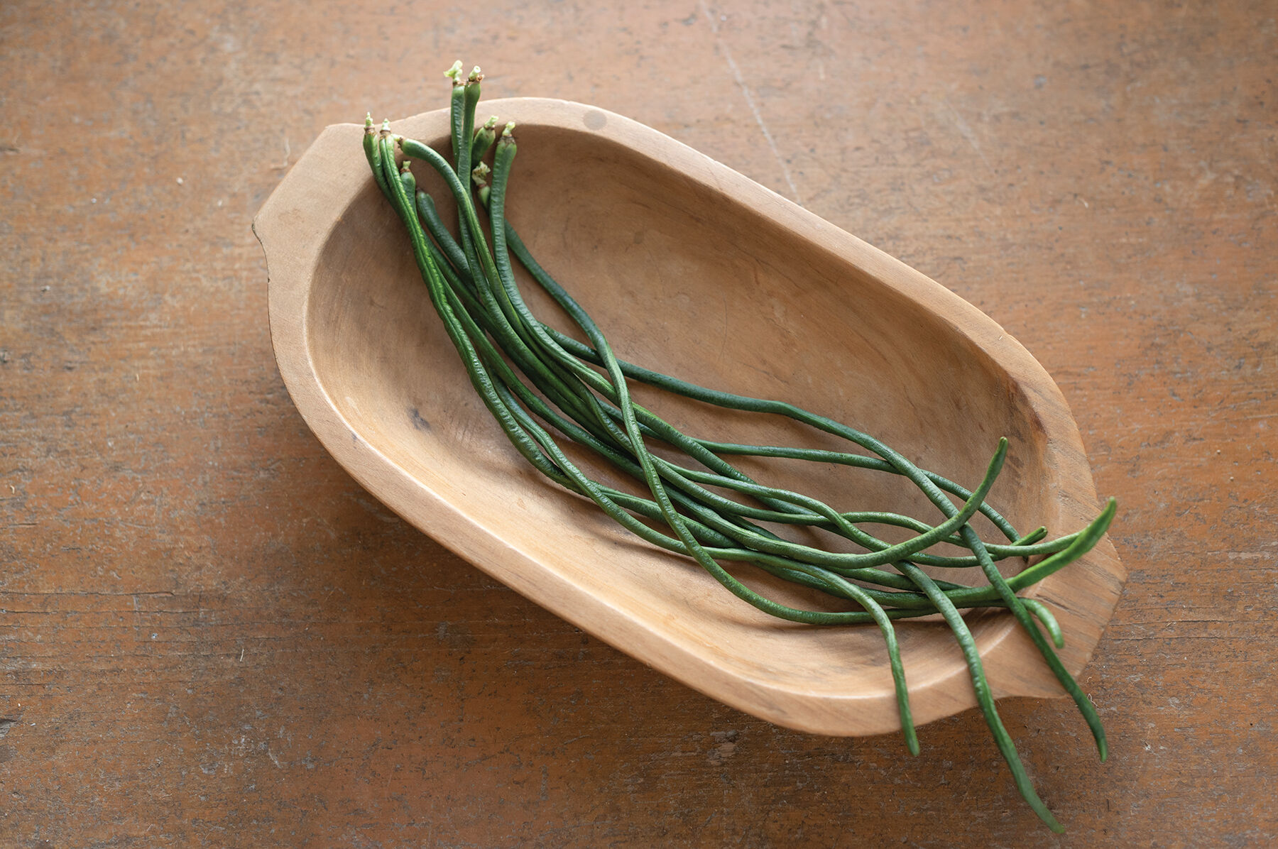 Python Pole Beans