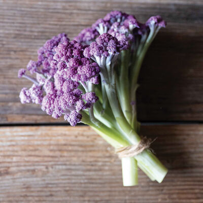 Murasaki Fioretto 70 Brassicas