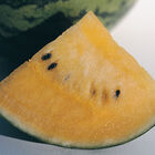 New Orchid Diploid Watermelons
