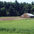 Spring Green Manure Mix Cover Crops