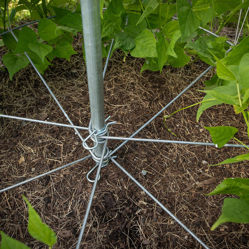 Bean Tower &ndash; 60" Cages & Fences