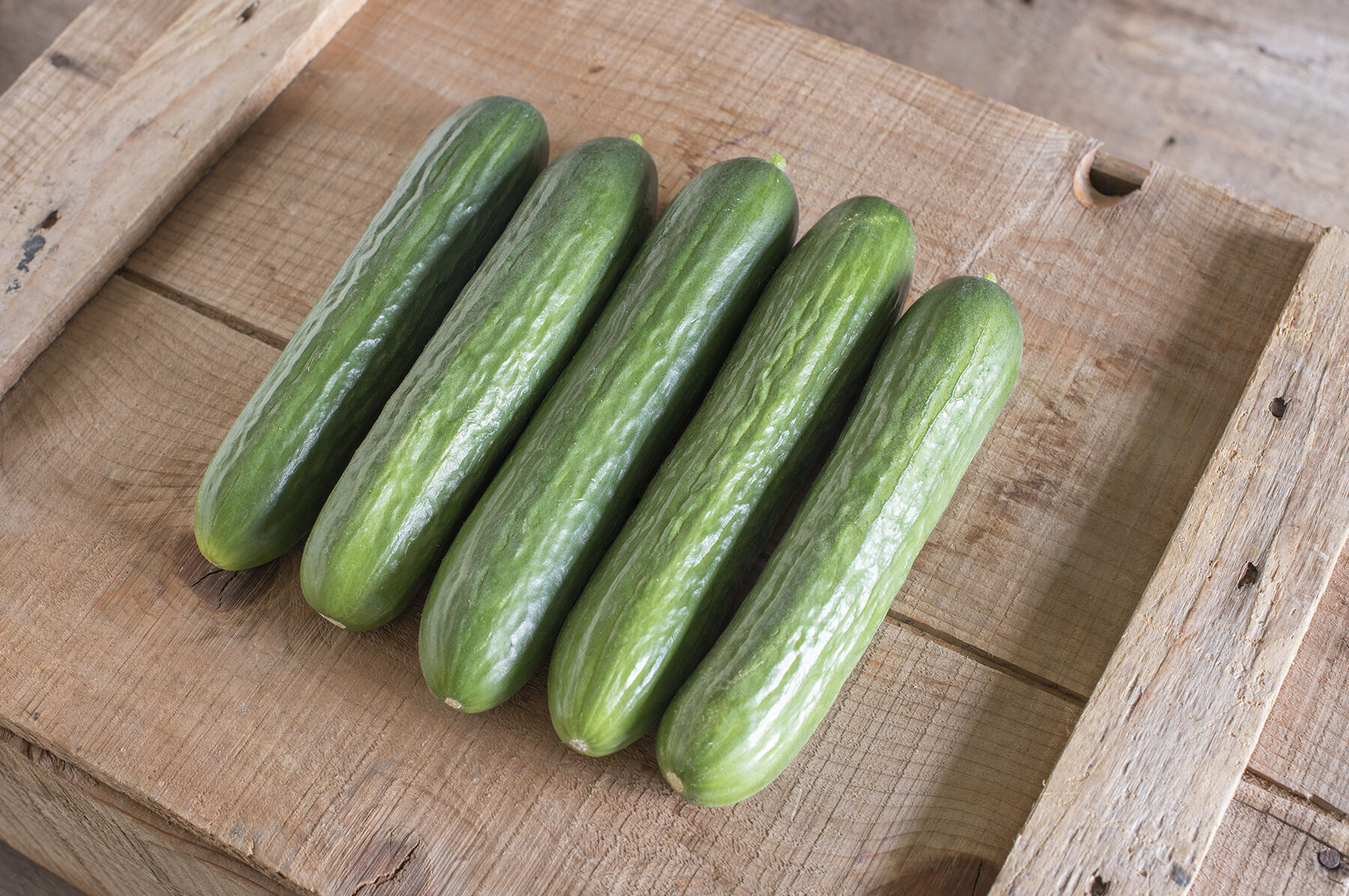 Katrina Cucumbers