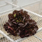 Salanova&reg; Hydroponic Red Butter Salanova&reg; Lettuce