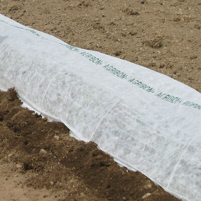 Agribon+ AG-19 &ndash; 83" x 1,000' Agribon