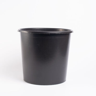 Flower Buckets &ndash; 10 L, 50 Count Flower Buckets