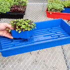 Polypro 5x5 Insert Pots &ndash; Blue, 24 Count Plastic Pots