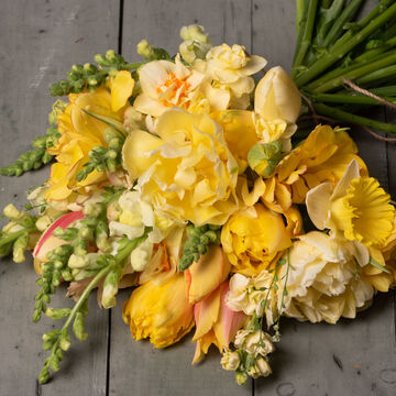 null Light Yellow
