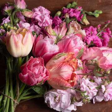 null Pink