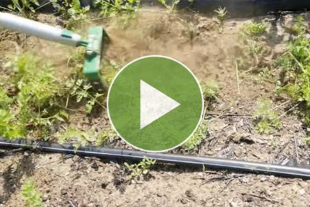 Stirrup Hoe Demo