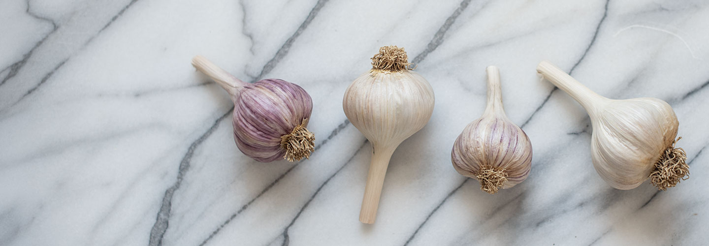 Garlic