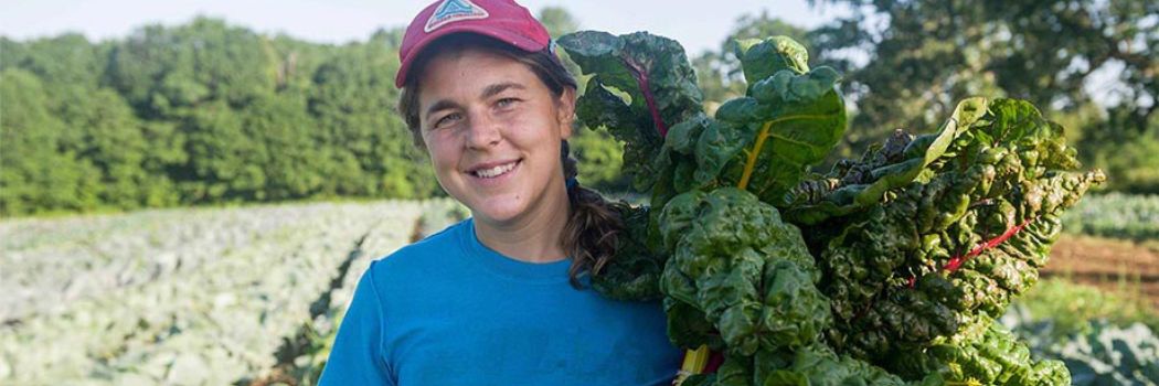 Recommended Crops for Succession Planting Grower Meg Mitchell of South Paw Farm, Freedom, Maine