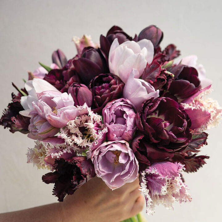 Goth Garden Set