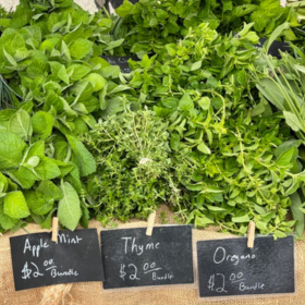 herbs at farmers market