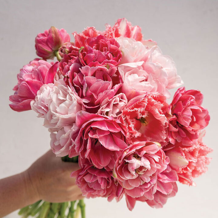 Pink Peony Set