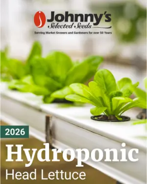 Hydroponic Head Lettuce digital catalog