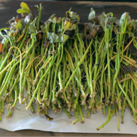 pole beans