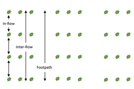 Types of Cultivation