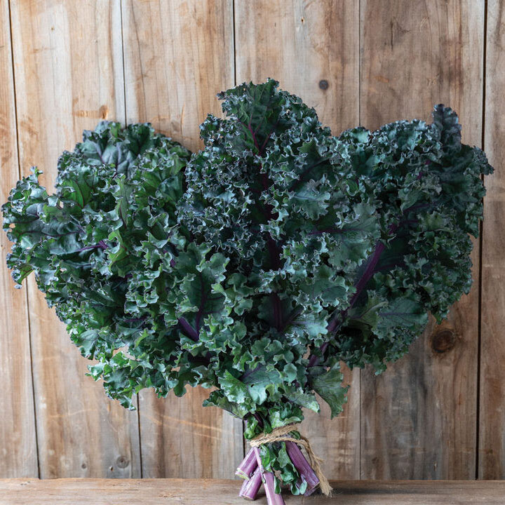 Brassica Pests & Diseases