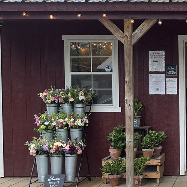 Roadside Flower Stand Basics